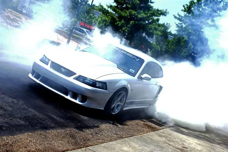 crazymustang2Large.webp