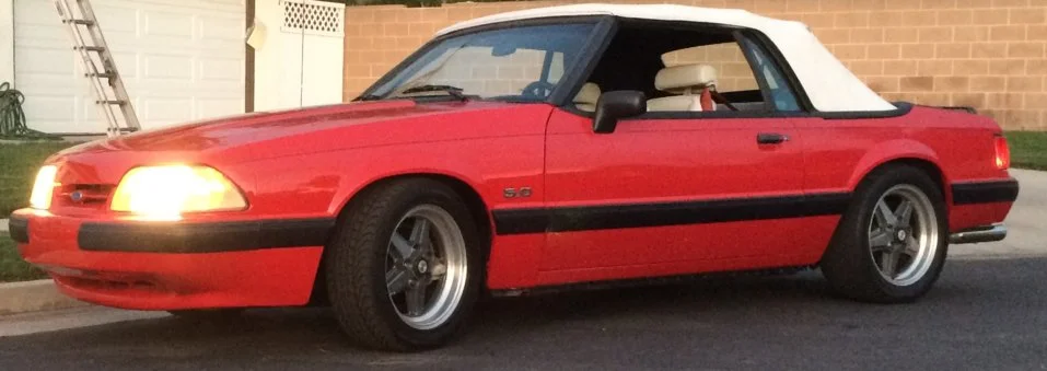 Crop2.webp