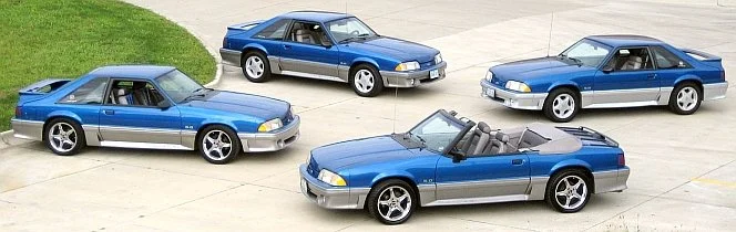 cropped_IMG_3297_331_210_adj1.webp