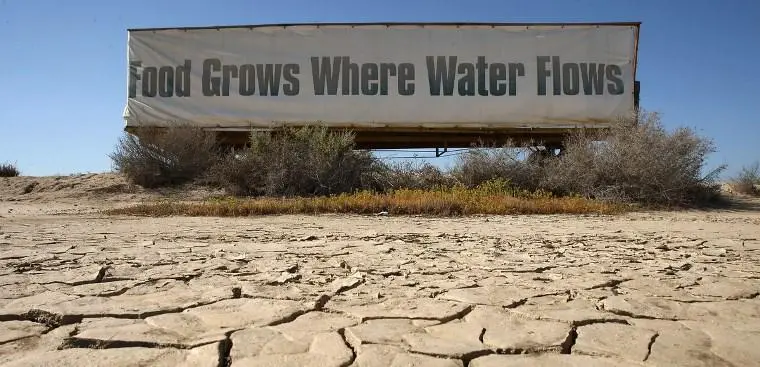 crops_grow_where_water_flows.webp