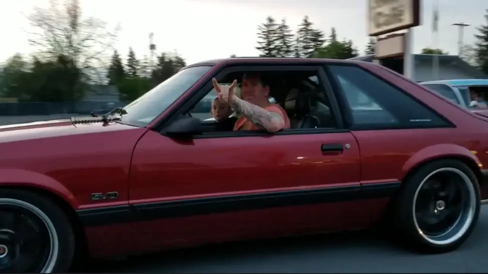 cruise2.webp