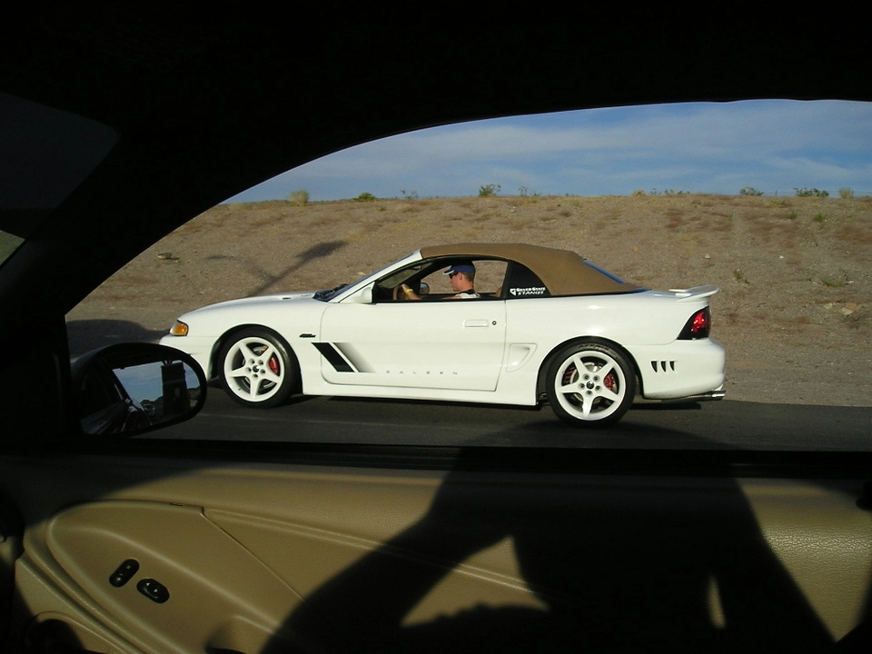 cruise3.webp