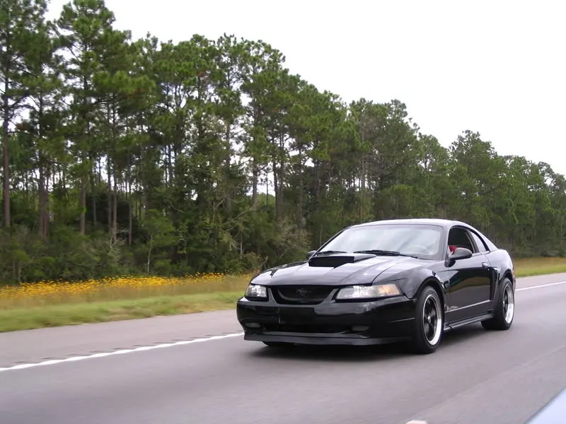 cruisin08014rk8.webp