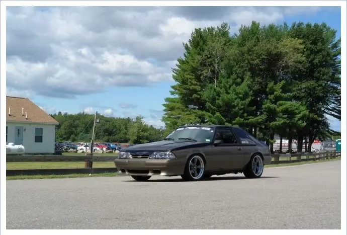 Cruising.webp