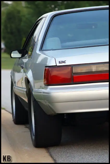CrumbieRearHalf.webp