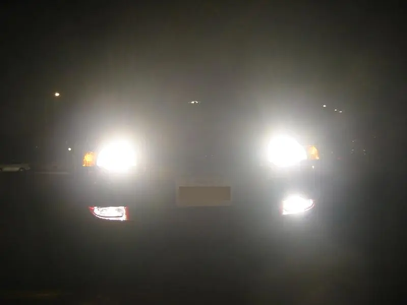 crystalfogs03.webp