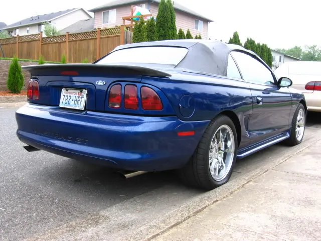 curbback.webp
