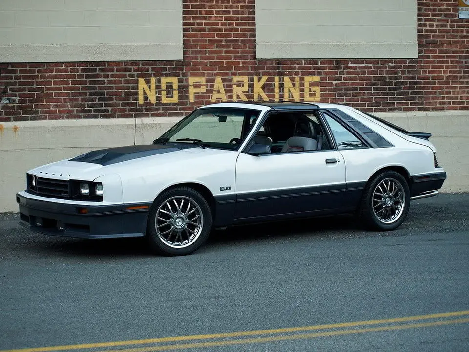 cut01nd9.webp