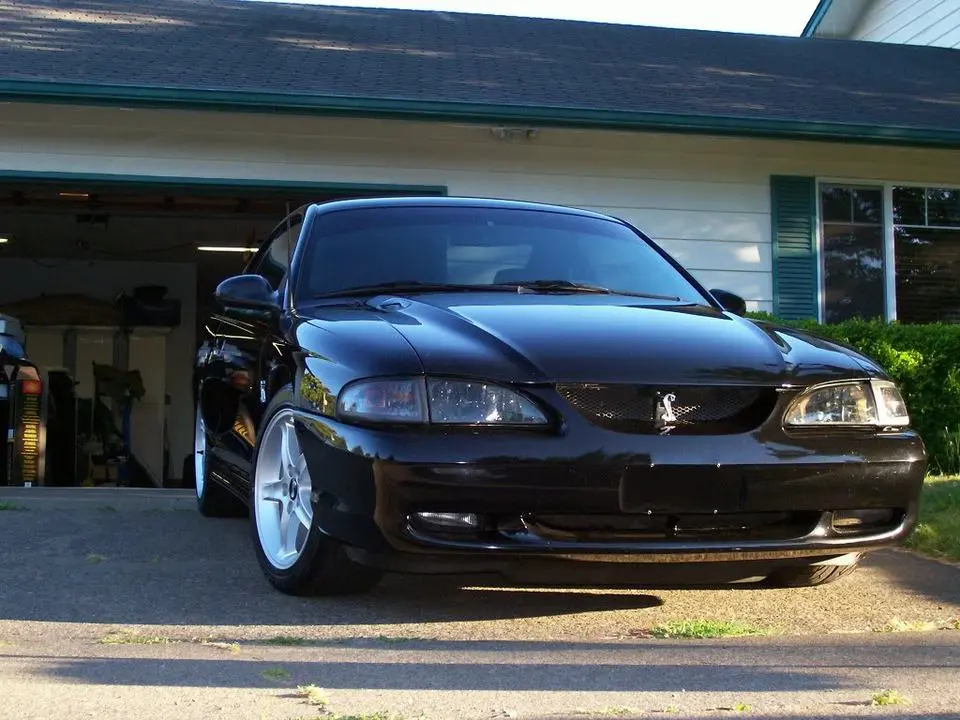 d31bb67b.webp