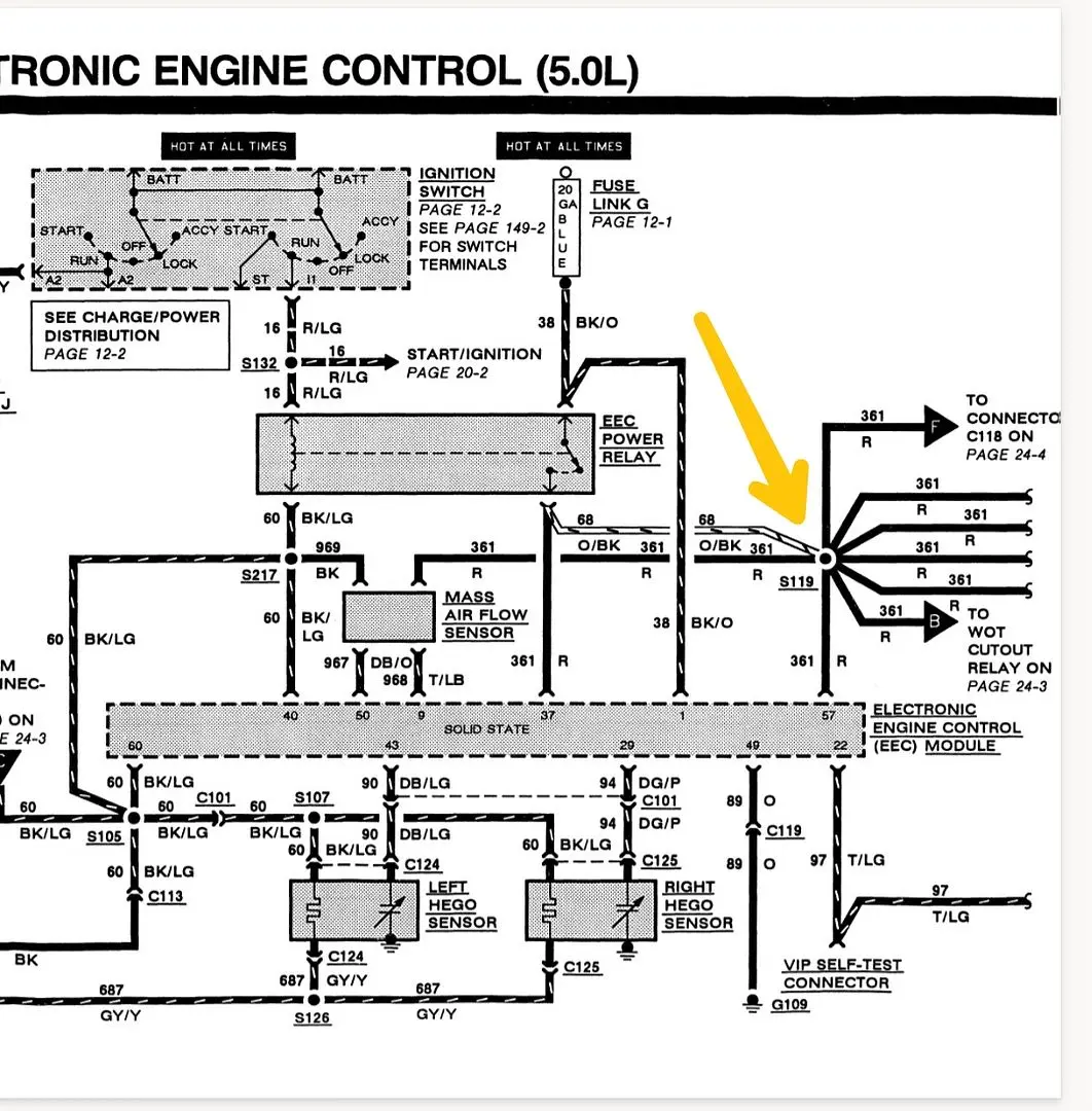 d33742cb-ec89-41d3-bf68-2d5c32dc9d95.webp