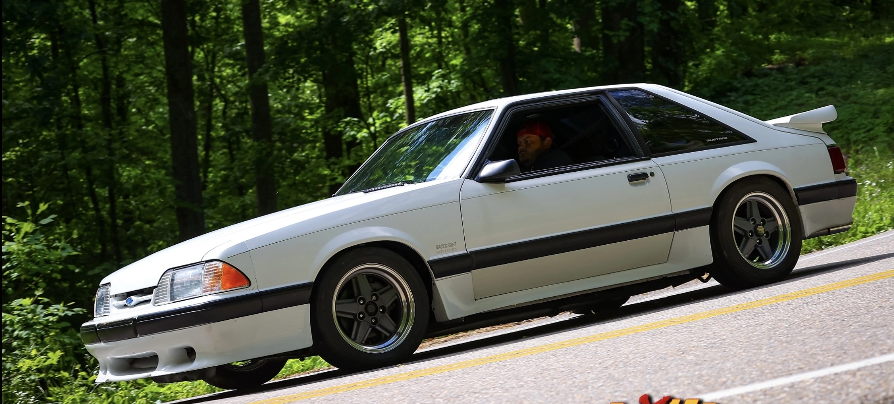D48A4B7E-0F84-4C95-A396-530ADDDC0234.webp