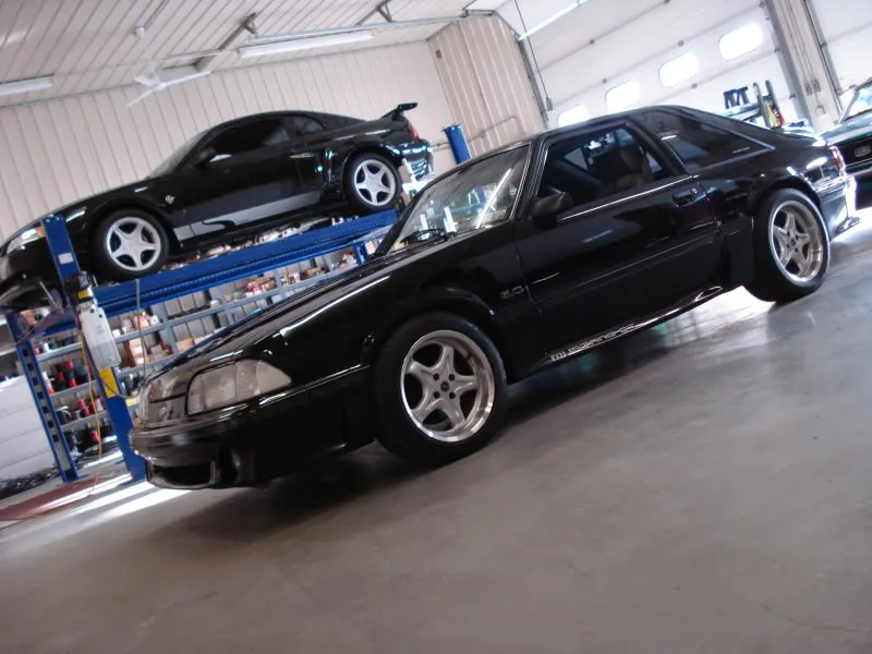 d93bf986.webp