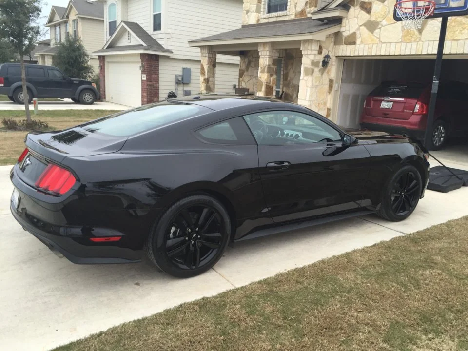 Da Stang.webp