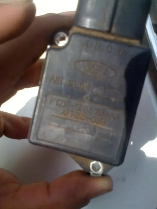 daa199c0.webp