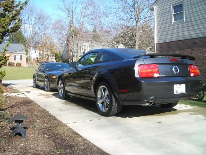 dadsnewstang001.webp