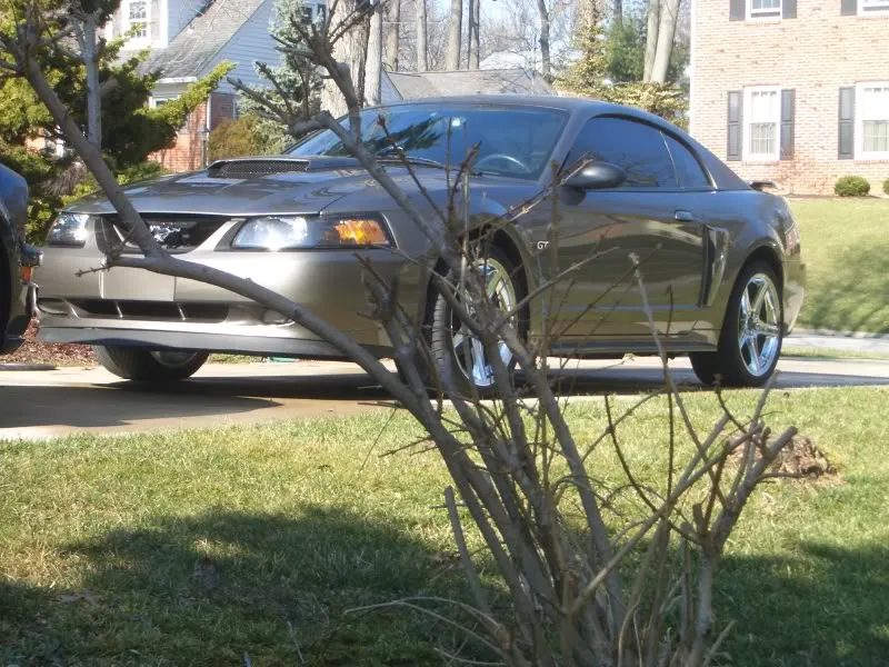 dadsnewstang005.webp