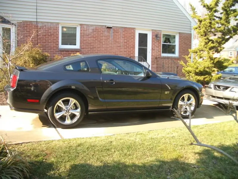 dadsnewstang006.webp