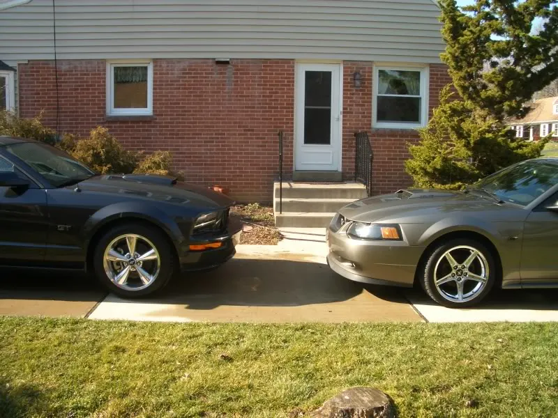 dadsnewstang007.webp