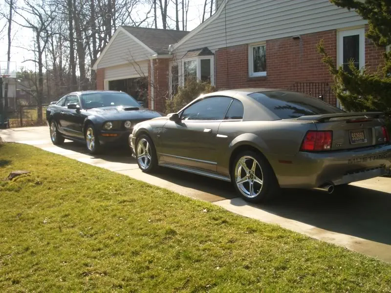 dadsnewstang011.webp