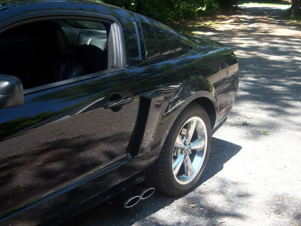 dadstang5.webp