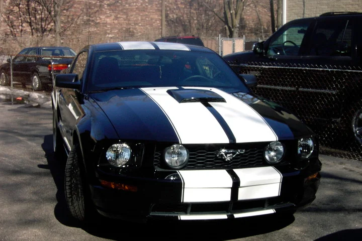 dalylightstang002rr2.webp
