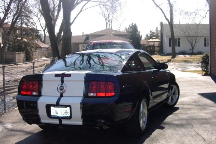 dalylightstang004wc2.webp