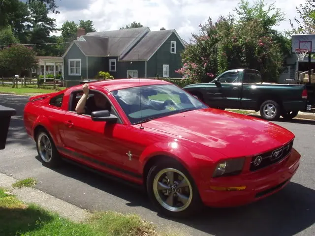DansStang.webp