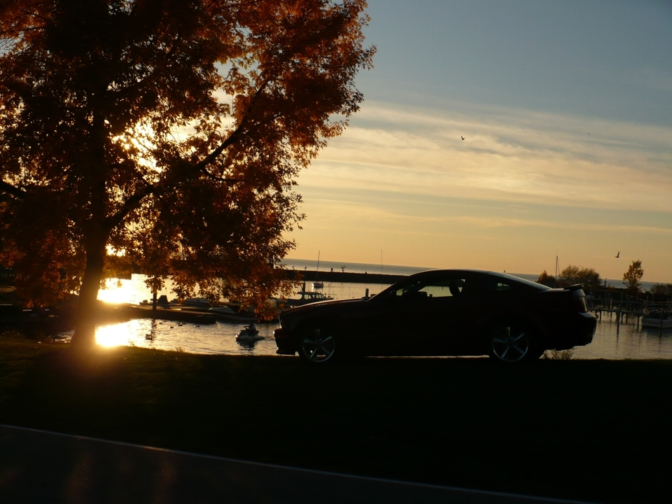 darkcarbythewaternq1.webp