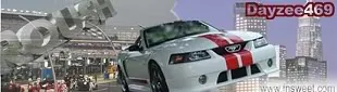dayzeecopy2.webp