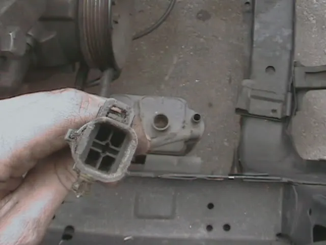 DCAM0034.webp