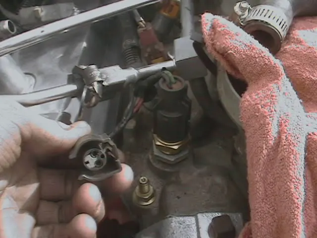 DCAM0040.webp