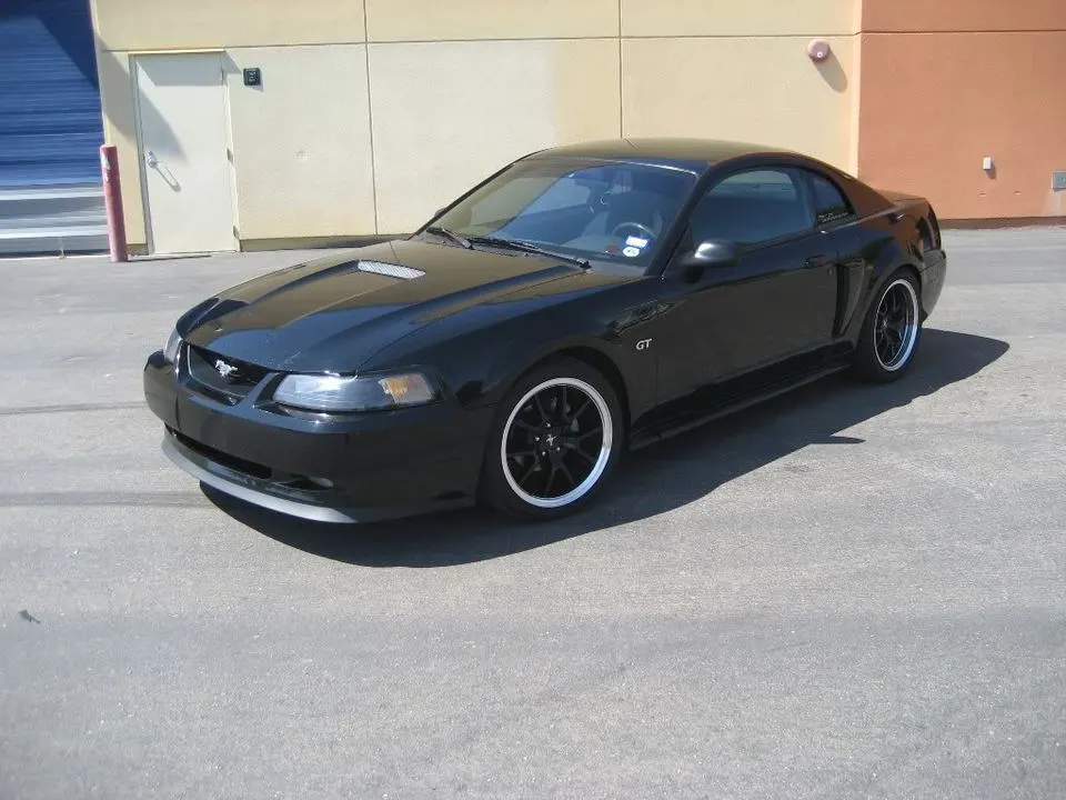 dealer01.webp