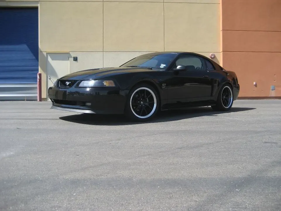 dealer02.webp