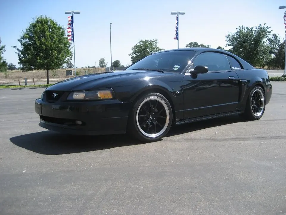dealer04.webp