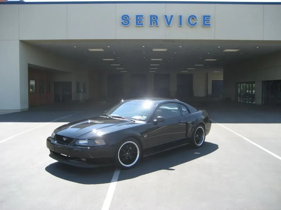 dealer05.webp