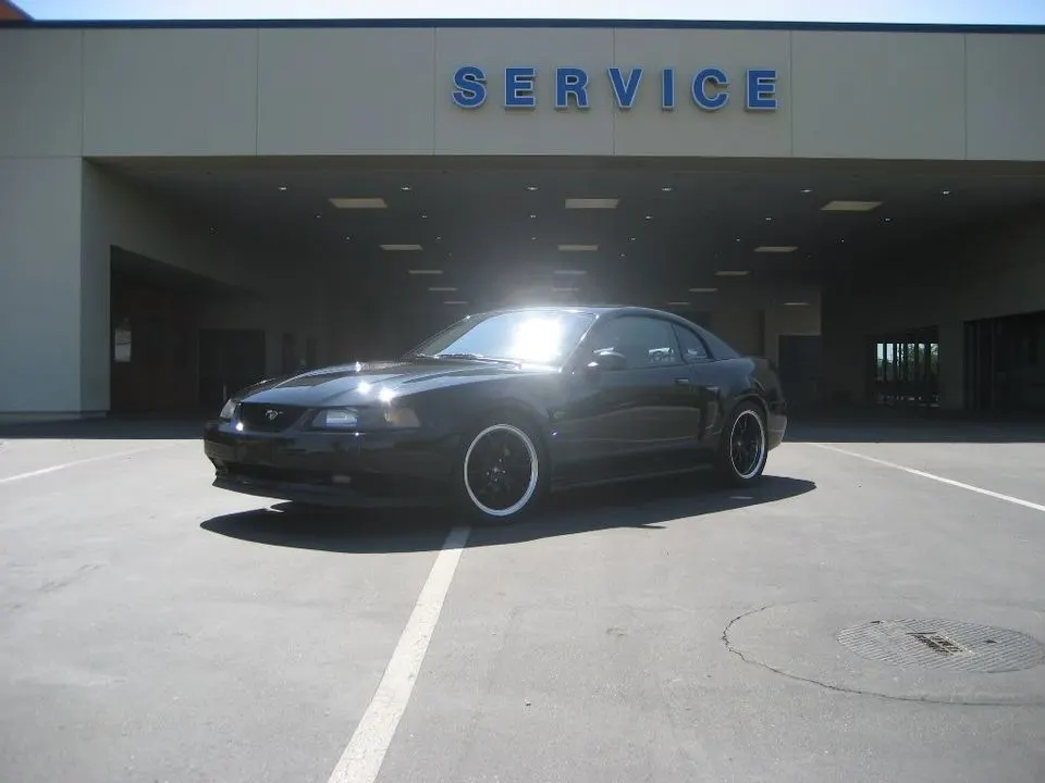 dealer06.webp