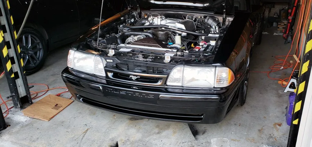 dech-bumper3-1024x482.webp
