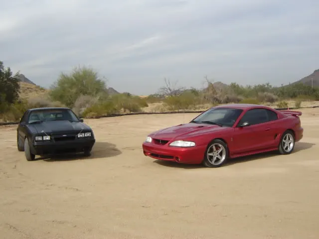 desert0140wl.webp