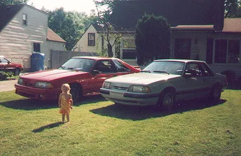 devinnes_2_stangs.webp