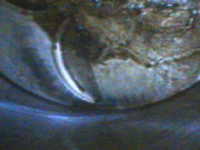 DIGI0005.webp