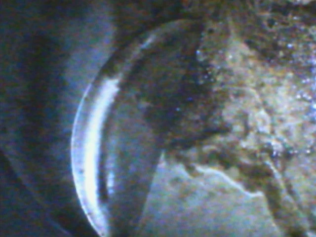 DIGI0006.webp