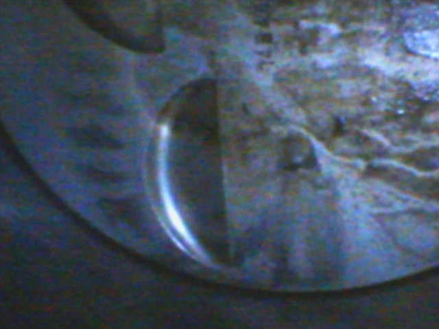 DIGI0007.webp