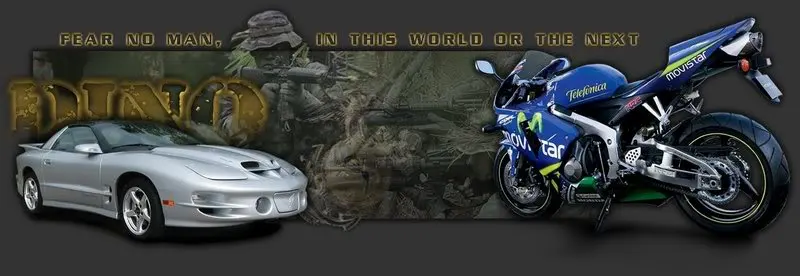 DINO2.webp