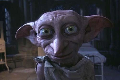 Dobby-the-House-Elf-dobby-the-house-elf-7047233-500-333.webp