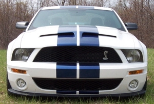 Don_s_GT500_pics_4-23-2007-1_web_site.webp