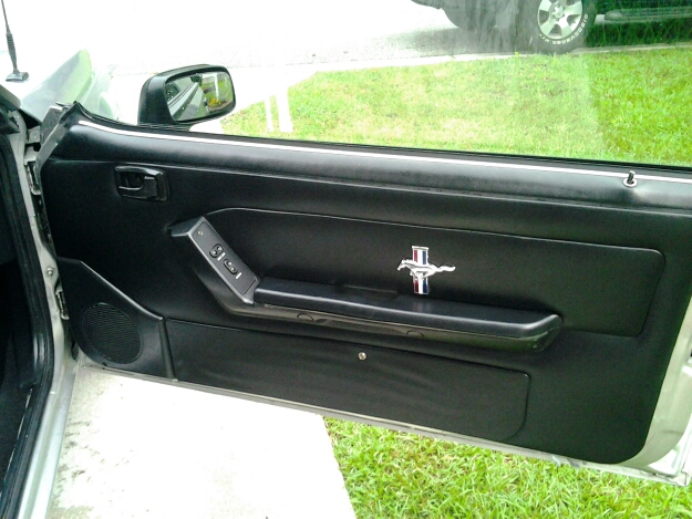 Door panel.webp