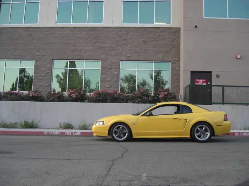 Dougscar2011.webp