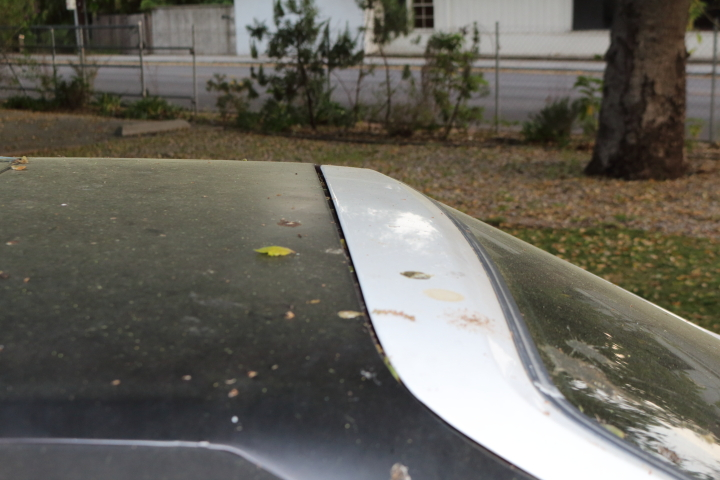 DPP_0021.webp