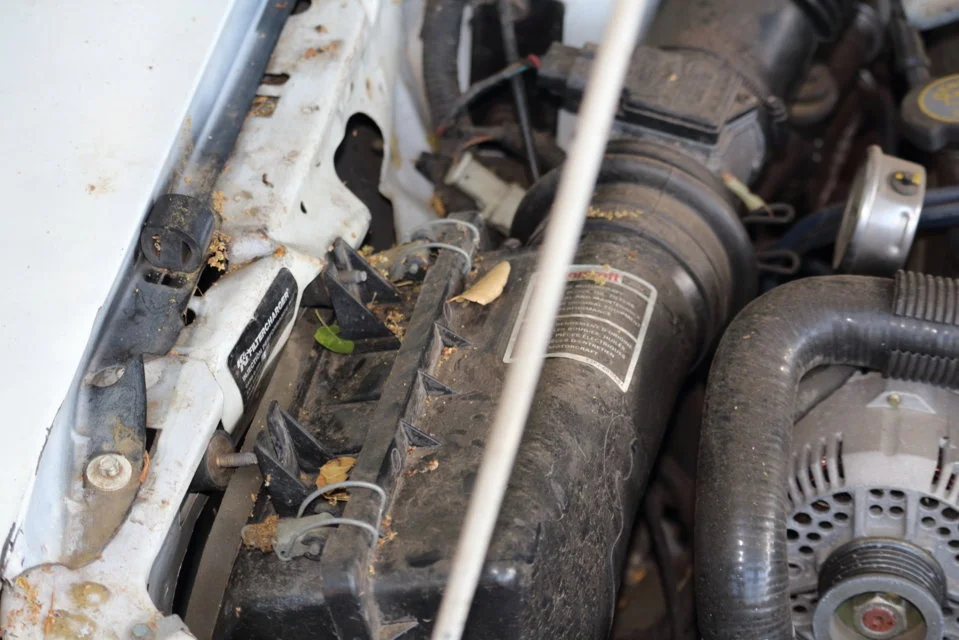 DPP_3007.webp