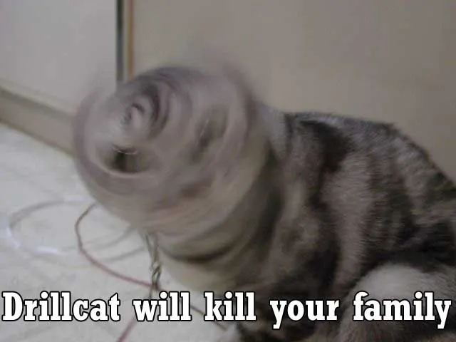 drillcat.webp